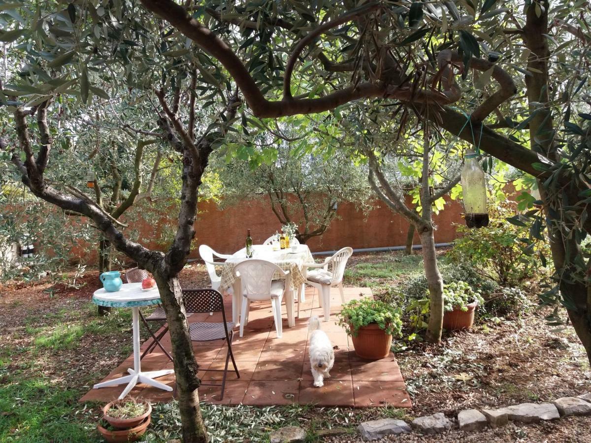 Apartma House Kate Rovinj